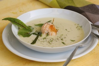 Southern German cuisine, sorrel soup with char, freshwater fish, soup arranged in a plate, herbs,