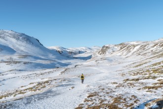 A hiker in a yellow windbreaker on the snow-covered trail to the Reykjadalur hot spring river in