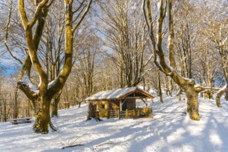 Beautiful refuge in the Oianleku natural park in the town of Oiartzun next to Peñas de Aya,