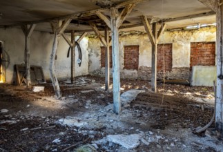Abandoned and derelict farmhouses on undeveloped land in Rügen, Mecklenburg-Vorpommern, Germany,