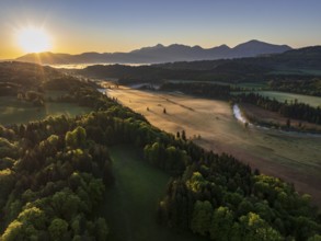 Aerial view, trees, forest, meadow, light green leaves, morning light, fog, mountains, sunny,