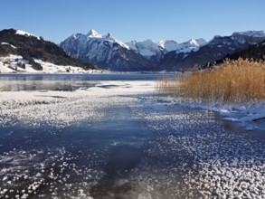 Frozen Sihlsee, reservoir, behind the snow-covered mountains Flübrig and Druesberg, Euthal, Canton