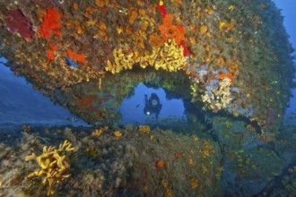 Diver looking through a hole Tunnel in underwater rocks at Capo d Orso on the north coast of