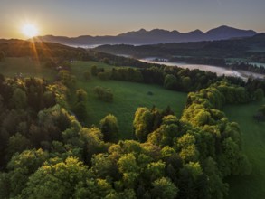 Aerial view, trees, forest, meadow, light green leaves, morning light, fog, mountains, sunny,