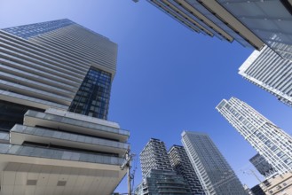 Toronto condominiums in a trendy middle and upper class district near Yonge and Eglinton midtown