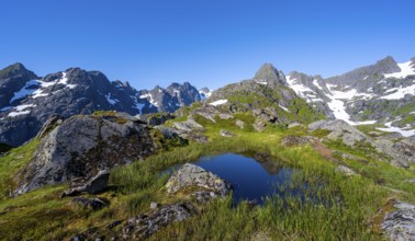 Small pond in moor landscape at Trollfjord Hytta, mountain landscape with rocky mountain peaks, at