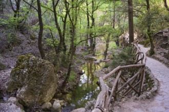 A forest path with railings leads along a small stream, Butterfly Valley, Butterfly Valley, Rhodes,