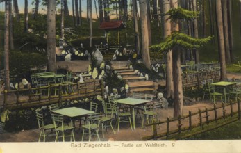 Historical postcard, picture postcard, Bad Ziegenhals in Silesia, today Glucholazy in Poland,