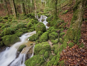 Waterfall with moss-covered rocks, Sihlsprung, Menzingen, Canton Zug, Switzerland, Europe