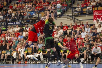 2nd HBL (Handball Bundesliga), Matchday 30: Eulen Ludwigshafen against VfL Eintracht Hagen***Tilman