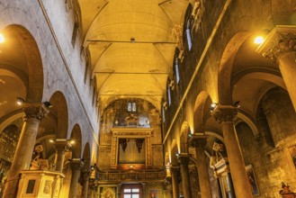 Vaulted ceiling in the church of San Michele in Foro, historic city centre, Lucca, Tuscany, Italy,