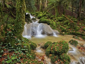 Waterfall surrounded by moss-covered stones in autumnal coloured surroundings, on the river Sihl,