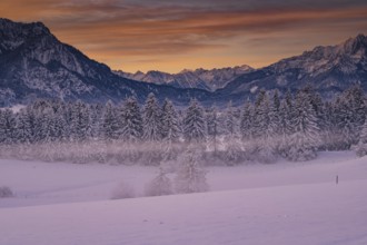 Winter landscape in the Allgäu near Halblech at sunrise