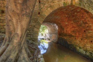 Stone tunnel with large tree next to it, quiet watercourse, Rodini Park, municipal park, Rhodes