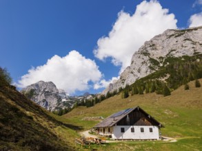 Halsalm, above the Reiteralpe, Ramsau bei Berchtesgaden, Berchtesgadener Land, Upper Bavaria,