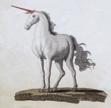 Unicorn, hand-coloured copperplate engraving from Friedrich Justin Bertuch's picture book for
