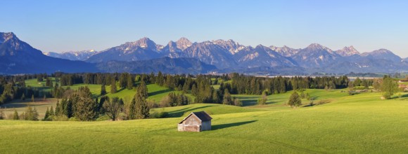 Lonely hut on a green meadow in front of an alpine mountain backdrop, Alps, near Füssen, Ostallgäu,