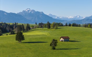 A valley full of green meadows, trees and huts with a mountain backdrop in the distance, Alps, near