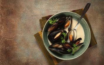 Mussels in shells, in creamy garlic sauce, mussels in bechamel sauce, homemade, no people