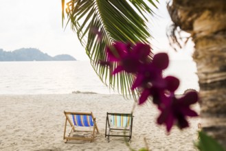 Orchids and deckchairs on the beach, Klong Son Beach, Ko Chang, Koh Chang, Mu Ko Chang National