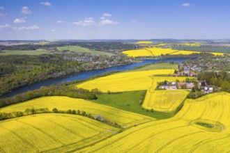 Aerial view of the Malter reservoir surrounded by blossoming rape fields, Paulsdorf (left) and