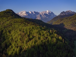 Aerial view, trees, forest, light green leaves, morning light, mountains, sunny, spring, near