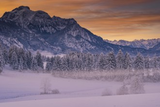 Winter landscape in the Allgäu near Halblech at sunrise