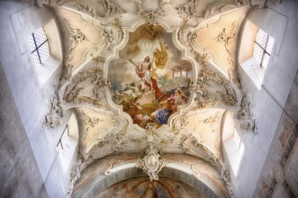 Interior view, ceiling painting, ceiling fresco, collegiate church Sankt Peter und Paul,