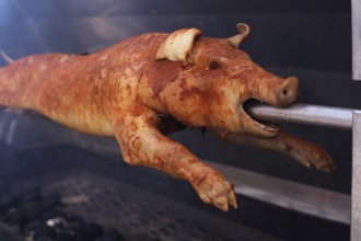 Suckling pig, pork, roasted on a spit, charcoal, Stuttgart, Baden-Württemberg, Germany, Europe