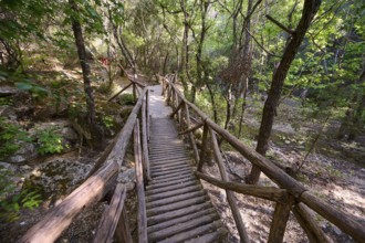 Wooden bridge leads through a quiet, wooded path, Butterfly Valley, Butterfly Valley, Rhodes,