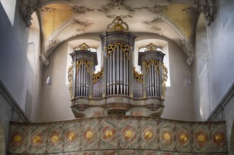 Interior view, gallery, organ, ceiling painting, ceiling fresco, collegiate church Sankt Peter und