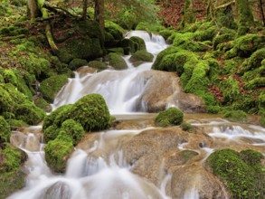 Waterfall with moss-covered rocks, Sihlsprung, Menzingen, Canton Zug, Switzerland, Europe