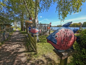 View of the Schlei Fjord from the beach path, art, colourful fish, fishing nets, wooden fence,
