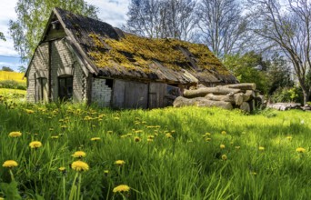Abandoned and derelict farmhouses on undeveloped land in Rügen, Mecklenburg-Vorpommern, Germany,