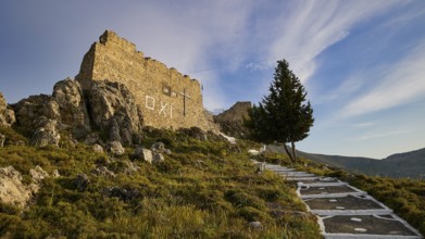 View of ruin and lone tree on a path surrounded by rocks and vegetation under blue sky,
