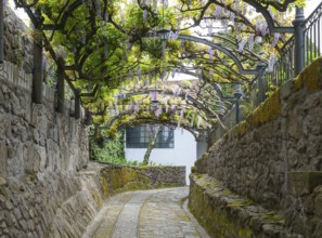 Old rail track path leading to Taylor's port lodge, Vila Nova de Gaia, Porto, Portugal, Europe