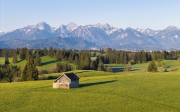 Small hut on green fields in front of a spectacular Alpine panorama, Alps, near Füssen, Ostallgäu,