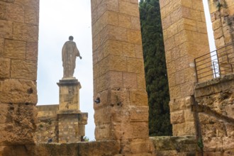Ancient roman ruins with a statue and cypress tree in tarragona, spain, showcasing historical