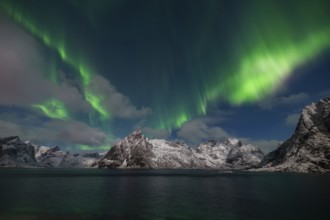 Northern Lights (Aurora Borealis) snowy mountains of the Reinfjord, Olstinden, Hamnøy, Moskenesøy,