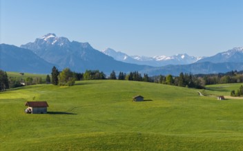 Green meadows and huts spread over gentle hills with the Alps in the background, Alps, near Füssen,