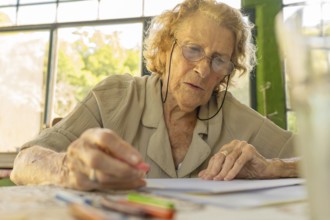 Concentrated elderly woman wearing glasses drawing with colored pencils at home, enjoying her hobby