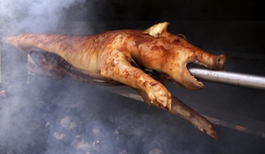 Suckling pig, pork, roasted on a spit, charcoal, Stuttgart, Baden-Württemberg, Germany, Europe