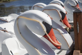 New Orleans, Louisiana - Swan boat rentals on Big Lake in New Orleans City Park