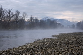 Morning atmosphere at the river Reuss, behind the snow-covered Rigi, Sins, Freiamt, Canton Aargau,