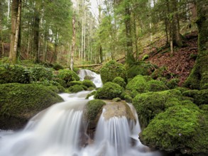 Waterfall with moss-covered rocks, Sihlsprung, Menzingen, Canton Zug, Switzerland, Europe