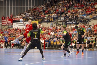 2nd HBL (Handball Bundesliga), Matchday 30: Eulen Ludwigshafen against VfL Eintracht