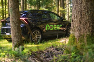 Black car in the forest, surrounded by tree trunks and green nature, Deer E- Carsharing, Calw,