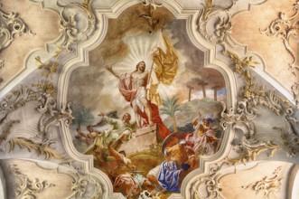 Interior view, ceiling painting, ceiling fresco, collegiate church Sankt Peter und Paul,