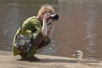 Woman photographing, swan watching, River Avon, Stratford-upon-Avon, Warwickshire, England, Great
