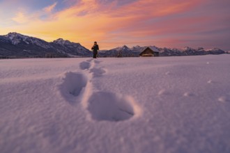 Winter landscape in the Allgäu near Halblech at sunrise